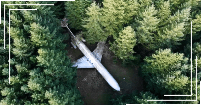 Man’s Dream of Living in An Airplane Comes True, But He’s Shocked to Find the First Owner…