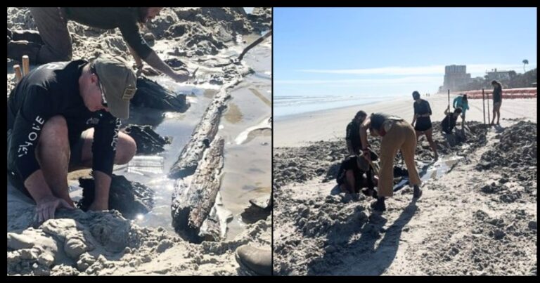 Beach Lover Stumbles on Mysterious Debris – When He Looks Closer, He Races For the Phone