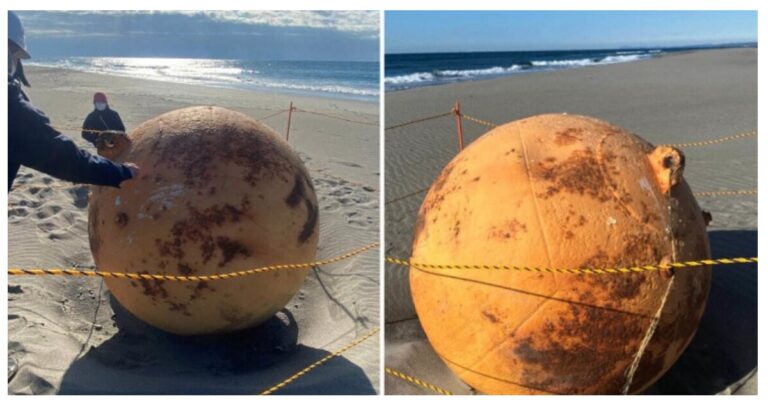 Mystery Metal Ball Washes Ashore In Japan – Top Scientist Thinks He Knows What It Is