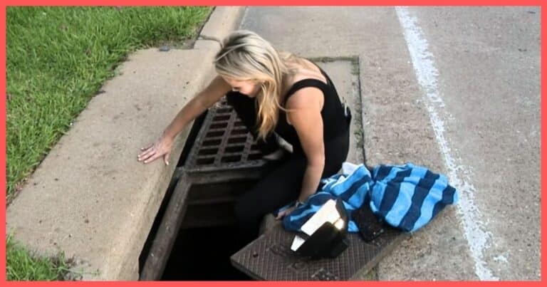 Woman Hears Bizarre Noises From Inside The Sewer – When She Sees What It Is, She Quickly Dives In