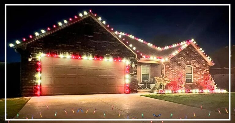 Neighbor Lights Up His Home For Xmas – But His Next Trick Is The Ultimate Christmas Move