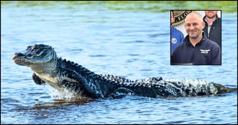 Man Hears Massive Splash in a Pond – Seconds Later, He’s A Hometown Hero