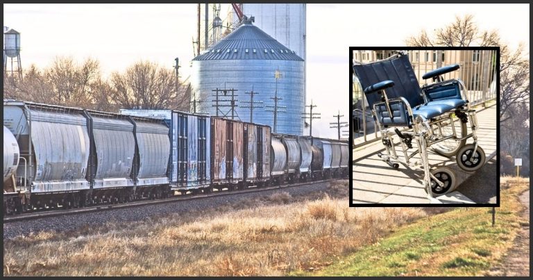 Elderly Woman’s Wheelchair Stuck On Train Tracks – Then A Brave Little Hero Sprints To Save Her