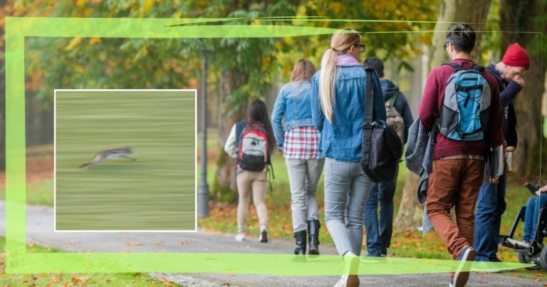 Strange Animal Suddenly Streaks Across Campus – And You’ll Never Guess Where It Came From”