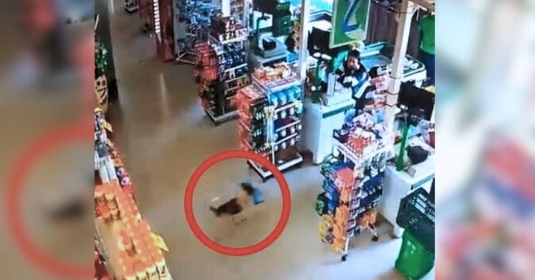 Furry Thief Snags A Loaf Of Bread And Disappears – Security Footage Shows The Culprit