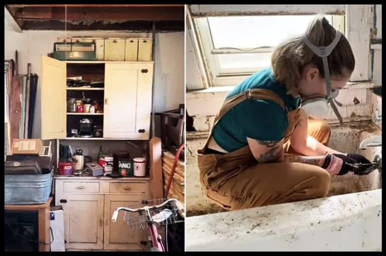 Woman Gets Crazy Idea To Buy A Fixer Upper – But It’s The Price Tag That Will Have You Gasping