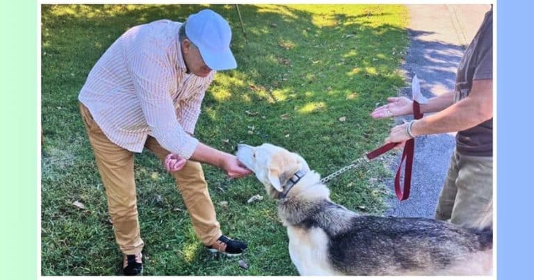 A Man Said He Never Wanted Dogs – But What He Does Next Has Dozens Racing To His Yard