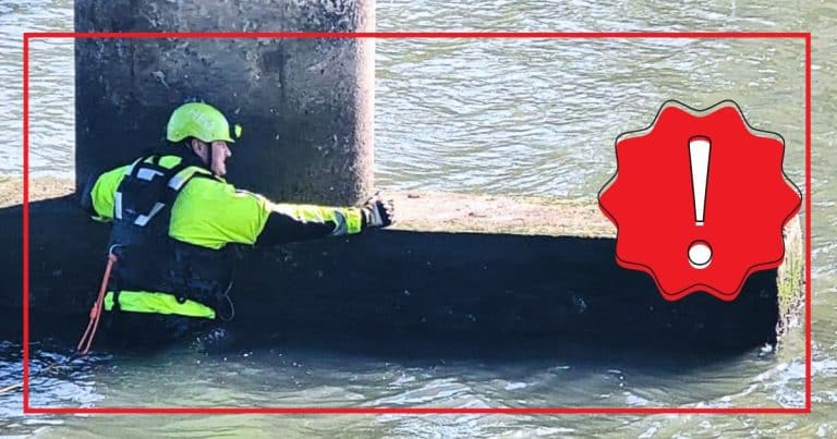 A Tiny ‘Terror’ Was Stuck Under A Bridge – As Rescuers Got Closer, It Suddenly Lunged