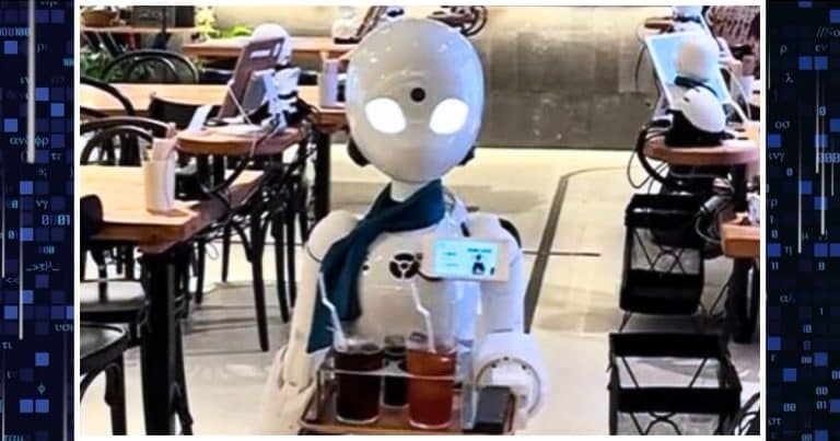 Shocked Customers Served By Robots – And You Won’t Believe Who’s Controlling Those Robots