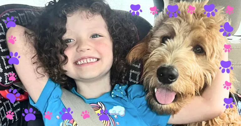 Hero Dog’s Snow-Day Adventure Goes Viral – And It Was All To Save The Girl He Loves