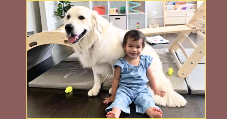 Scared Baby Takes Her First Steps … Her Furry Friend’s Hilarious Reaction Will Make Your Day