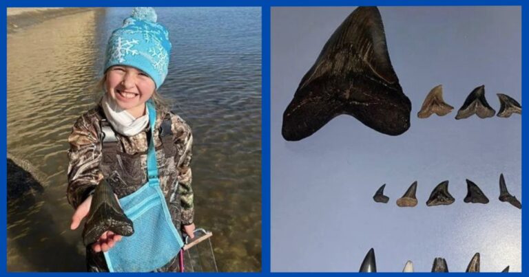 Young Girl Makes Once-In-A-Lifetime Find – Her Discovery Leaves Scientists Awestruck