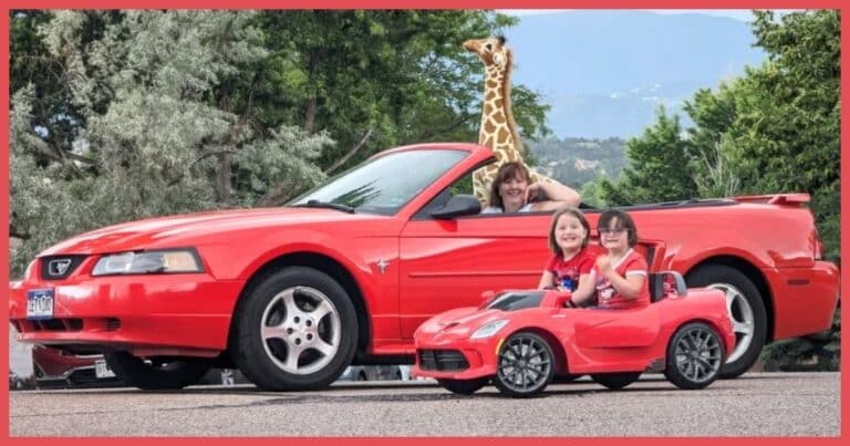 Woman Drives To Work With Giraffe As A Passenger – Then She Hatches A Quirky Scheme To Help Others