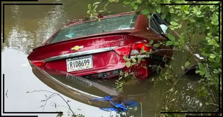 Woman Shrieks For Help In Sinking Car – Then Police Risk It All With 1 Last-Second Decision