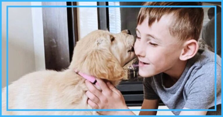 Little Boy Adopts ‘Special’ Puppy – And They Have 1 Amazing Thing In Common