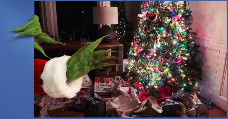 Family Wakes Up To Christmas Surprise – Look What A ‘Grinch’ Did To All Their Presents