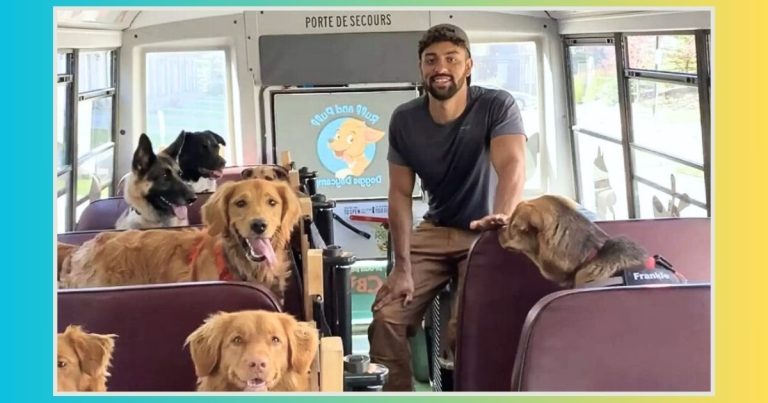 You’ll Never Guess Why This School Bus Is Full of Dogs – Even The Happy Pups Are Surprised