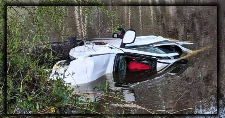 Family SUV Suddenly Plunges Into River – You Won’t Believe What Happens Just Seconds Later