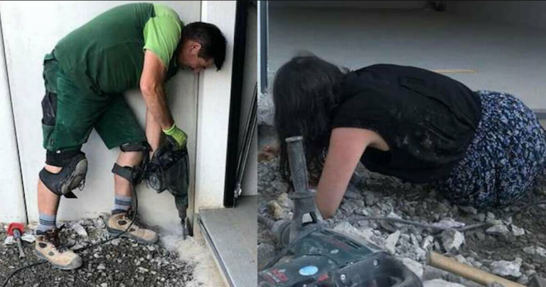 Trapped Animal Cries For Help – Woman Realizes It’s Coming From Under Newly Poured Cement