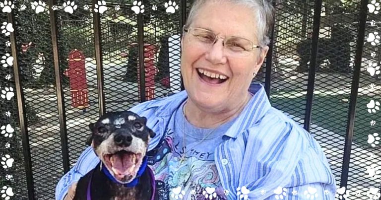 Widow Adopts The 1 Dog At The Shelter Nobody Wanted – The Reason Will Melt Your Heart