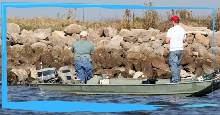 Fishing Men Spot 3 Dozen Strange Animals – They Get a Closer Look and Spring Into Action