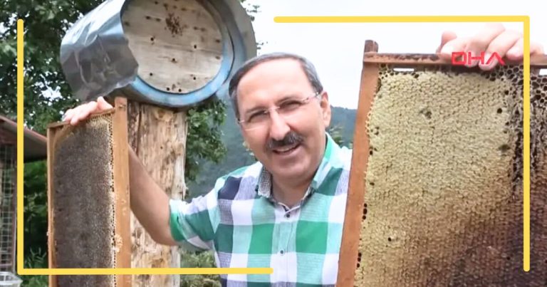 Beekeeper Catches A Sneaky Honey Thief – You Have To See It To Bee-lieve It