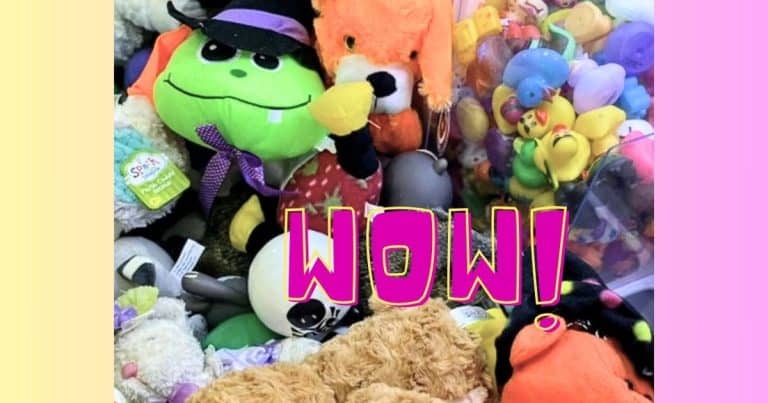 Stunned Girl Spots ‘Prize’ In Claw Machine – What She Sees Inside Has Everyone In Stitches