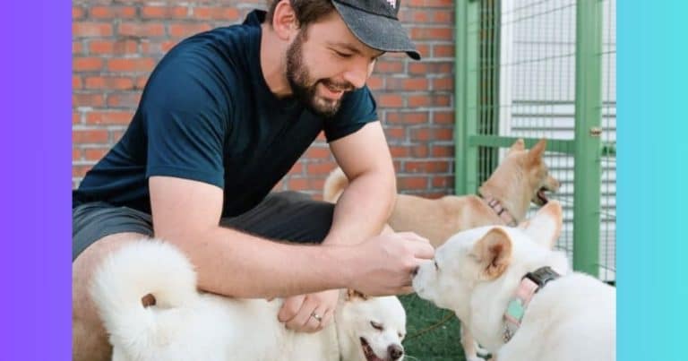 Man Flies To Korea For A Dog Walk – And Half A Mile Later, He Breaks A World Record