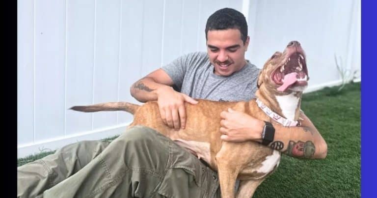 Shelter Dogs Struggle to Find Homes – Until 1 Idea Has A Marine Vet Racing to Help