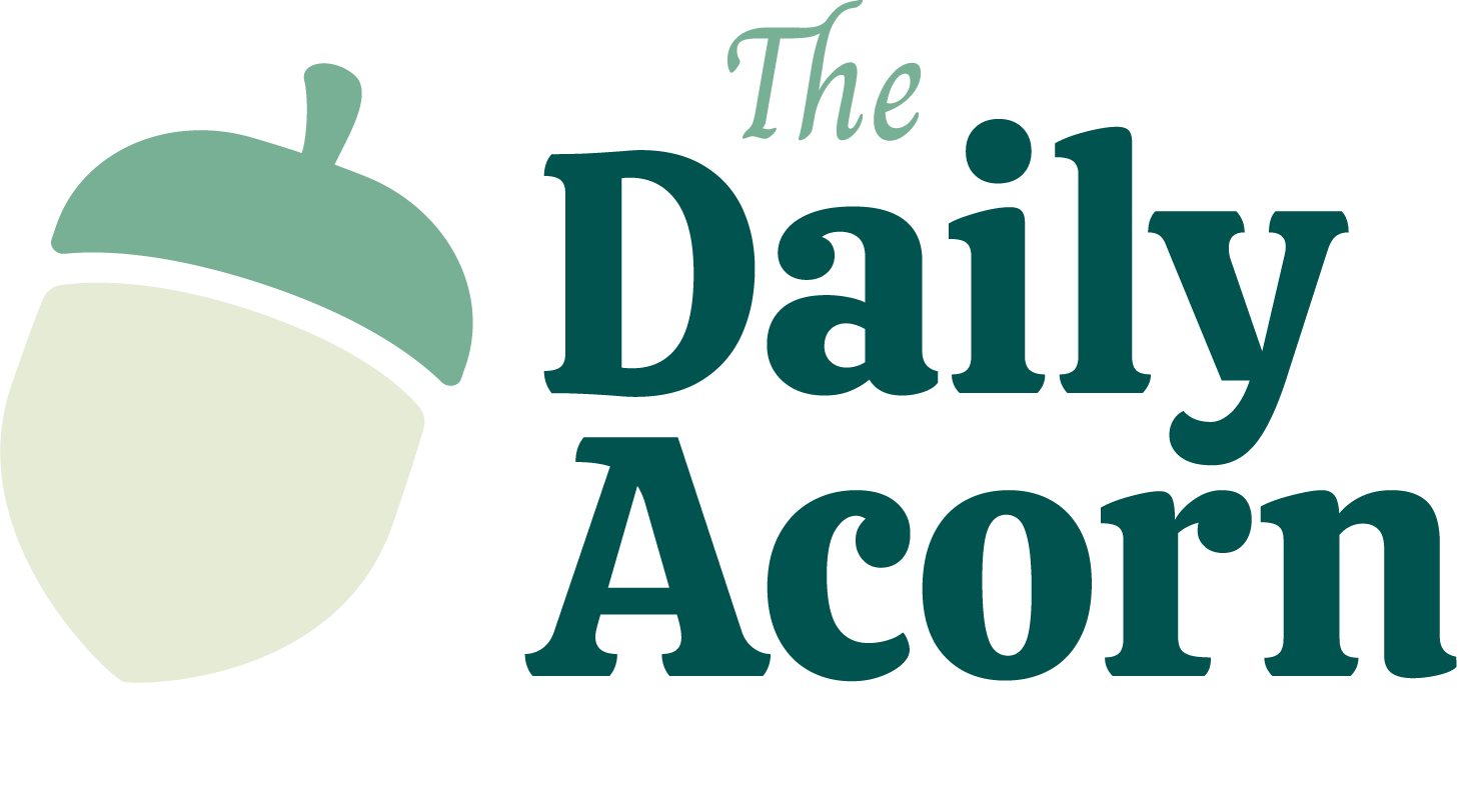 The Daily Acorn Newsletter